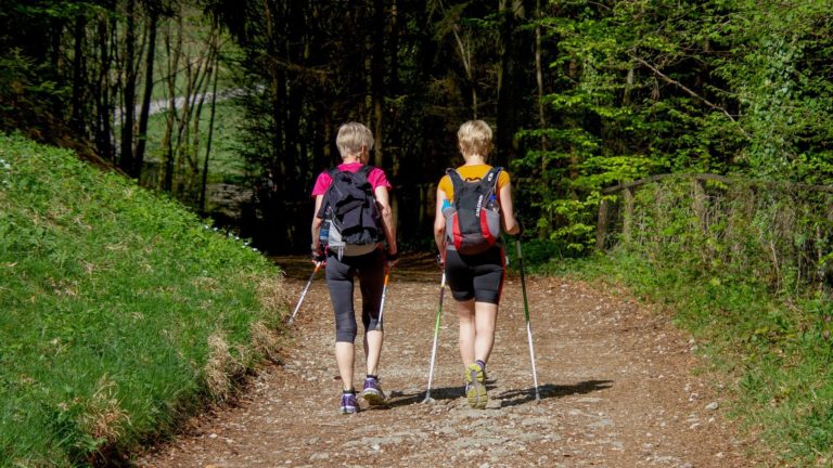 NORDIC WALKING GRUPPE